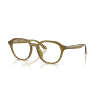 RAY-BAN  RX7259D - 8437