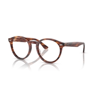 RAY-BAN  RX7680V - 2144 LARRY