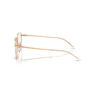 RAY-BAN  RX8776D - 1248