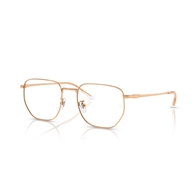 RAY-BAN  RX8776D - 1248