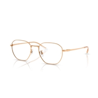 RAY-BAN  RX8777D - 1248