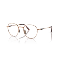 RAY-BAN  RX8782 - 1247 DAVID TITANIUM