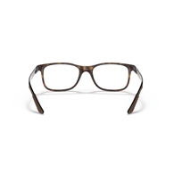 RAY-BAN  RX8903 - 5200