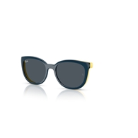 RAY-BAN JUNIOR  RY1631C - 393787