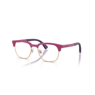 RAY-BAN JUNIOR  RY1641 - 3933