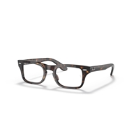 RAY-BAN JUNIOR  RY9083V - 3887 JUNIOR BURBANK
