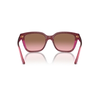 VOGUE VO5558S - 313514
