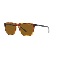 ARNETTE AN4301 FRY - 277083