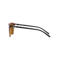 ARNETTE AN4301 FRY - 277083