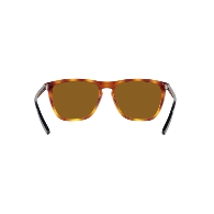 ARNETTE AN4301 FRY - 277083