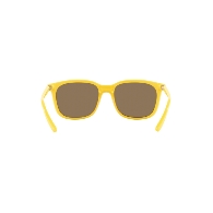 ARNETTE AN4316 C'ROLL - 28815A