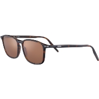 SERENGETI LENWOOD - 8933
