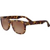 SERENGETI FOYT LARGE - SS550002