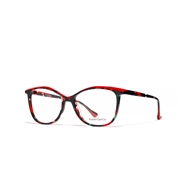 XAVIER GARCIA ARA C-1 BLACK RED HAVANA / RED
