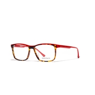 XAVIER GARCIA GINO C-1 HAVANA / RED