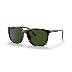 POLO PH4185U - 500371