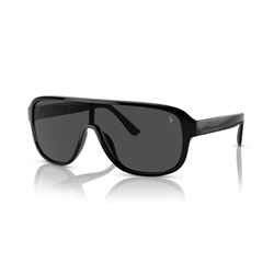 POLO PH4196U - 500187