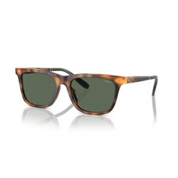 POLO PH4205U - 608971