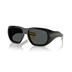 POLO PH4219U - 500187