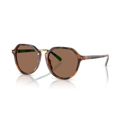 POLO PH4223U - 608973