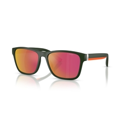 POLO PH4229U - 55966Q