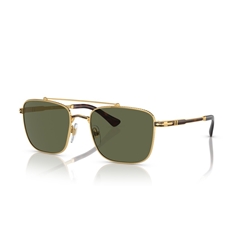 PERSOL 0PO2487S - 110958