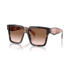 PRADA PR 24ZS - 23A0A6
