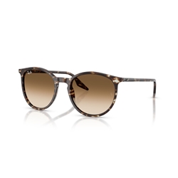 RAY-BAN RB2204 - 143151