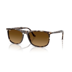 RAY-BAN RB2216 - 143185