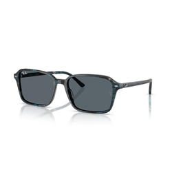 RAY-BAN RB2231 - 1417R5 RAIMOND