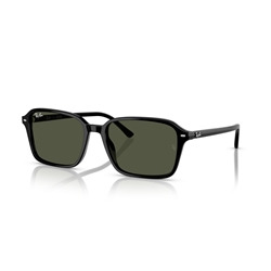 RAY-BAN RB2231 - 901/31 RAIMOND