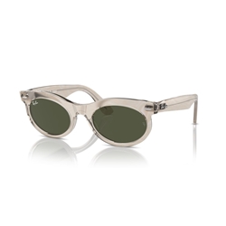 RAY-BAN RB2242 - 138331 WAYFARER OVAL