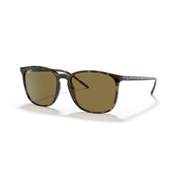 RAY-BAN RB4387 - 710/73