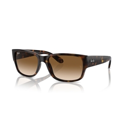 RAY-BAN RB4388 - 710/51