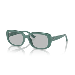 RAY-BAN RB4421D - 676287