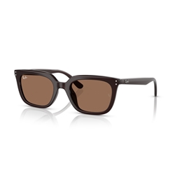 RAY-BAN RB4439D - 623173