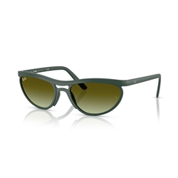 RAY-BAN RB4453 - 6016E8