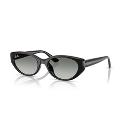 RAY-BAN RB4457D - 667711