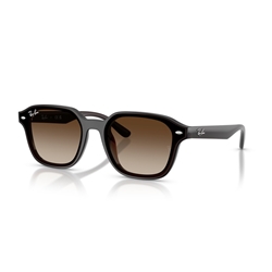 RAY-BAN RB4458D - 714/13