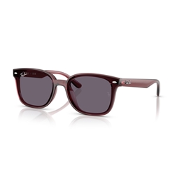 RAY-BAN RB4461D - 659373