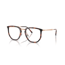 RAY-BAN  RX4451V - 5687
