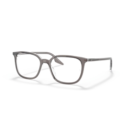 RAY-BAN RX5406 - 8111