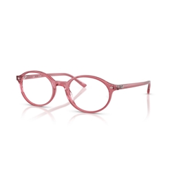 RAY-BAN RX5429 - 8440 GERMAN