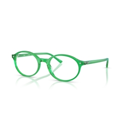 RAY-BAN RX5429 - 8441 GERMAN