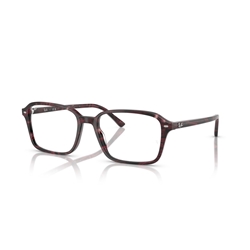 RAY-BAN  RX5431 - 8393 RAIMOND