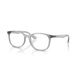 RAY-BAN  RX7093D - 8012