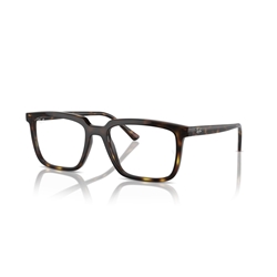 RAY-BAN  RX7239 - 2012 ALAIN