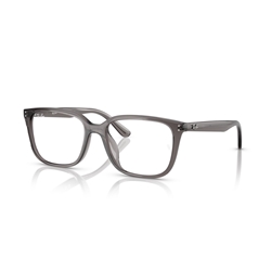 RAY-BAN  RX7248D - 8257