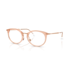 RAY-BAN  RX7255 - 8124