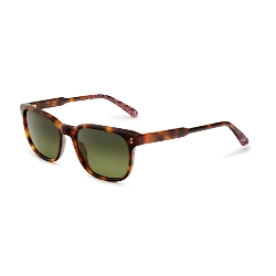 ETNIA BARCELONA SINATRA 55S HVRD        